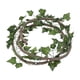 thumbnail image 4 of Enredaderas de reptiles para decoración de terrario, accesorios para tanque, enredaderas colgantes flexibles, decoración de terrario para reptiles par Estilo B, 4 of 5