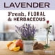 thumbnail image 2 of Ambientador en aerosol Mrs. MEYER'S CLEAN DAY Lavender 240 ml x3, 2 of 4