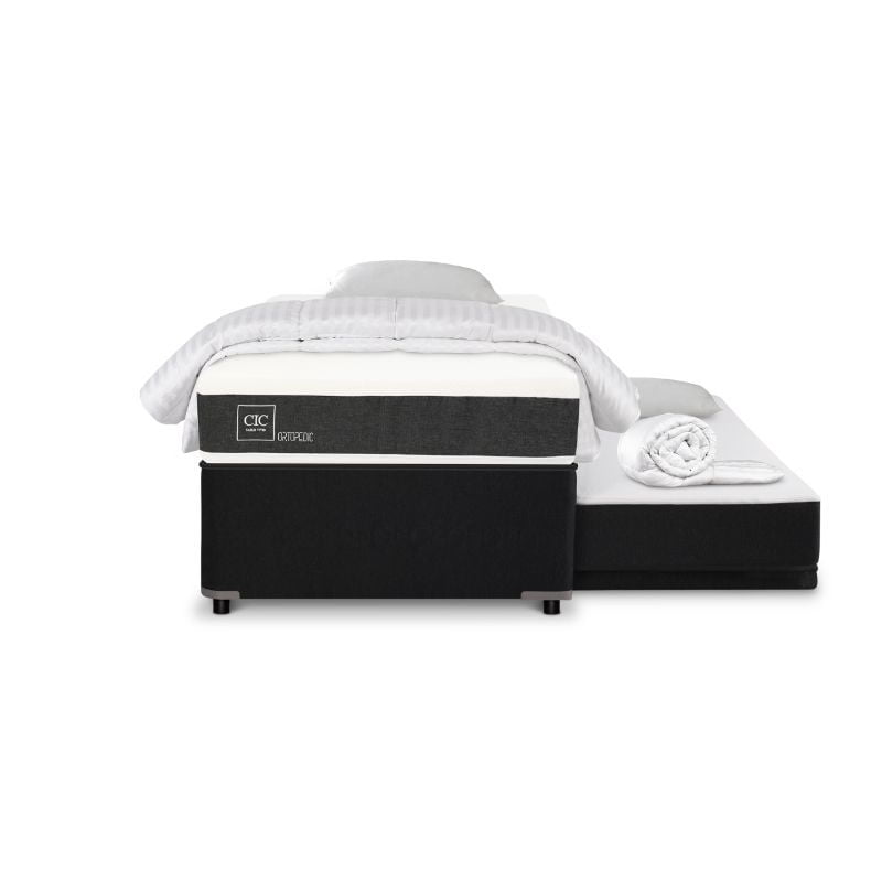 Cic - Diván New Ortopedic Black 1.5 Plaza Base Normal