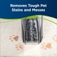 thumbnail image 4 of Limpiador de alfombras Bissell 74R7 para manchas y olores para mascotas 946 ml, 4 of 7