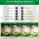 thumbnail image 3 of SANSI 5W Dimmable Grow Light Bulb, Full Spectrum with Remote, 3 of 3