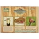 thumbnail image 3 of Comedero para ardillas, accesorios para colgar cabezas de caballo, 3 of 3