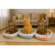 thumbnail image 2 of Caja Arenero Gato Areneros Gatos Baño Gato Baño Para Gatos Color Multicolor Vitrineon Cl, 2 of 3