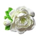 thumbnail image 3 of Difusor De Aire Para Coche Flores Secas Artificiales Blanco, 3 of 3