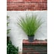 thumbnail image 3 of Pasto Con Caida Verde 45cm Artificial, 3 of 3
