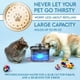 thumbnail image 3 of Dispensador automático de agua para gatos y perros Pet Fountain Veken, 2.8 L, 3 of 7