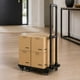 thumbnail image 2 of Carro Yegua de Carga Plegable 6 Ruedas Base Extensible Be Design Negro 56.5 x 32 cm, 2 of 16