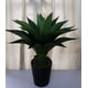 thumbnail image 1 of Cactus Decorativo Agave 75 cm, 1 of 2
