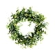 thumbnail image 4 of Guirnalda De Hojas Verdes Colgante Floral Romántico Para Puertas Delanteras Tienda Ventanas Estilo D, 4 of 4