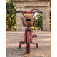 thumbnail image 2 of Bicicleta Infantil Aro16 con Ruedas de Entrenamiento y Canasto, 2 of 5
