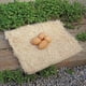 thumbnail image 2 of Almohadillas para Nidos de Gallinas PRECISION PET 33x33 cm Paquete de 10 Beige, 2 of 3
