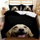 thumbnail image 1 of Labrador Golden Retriever Quilt Duvet Cover Set Bed Linen 3-Piece Bedding Set, 1 of 4