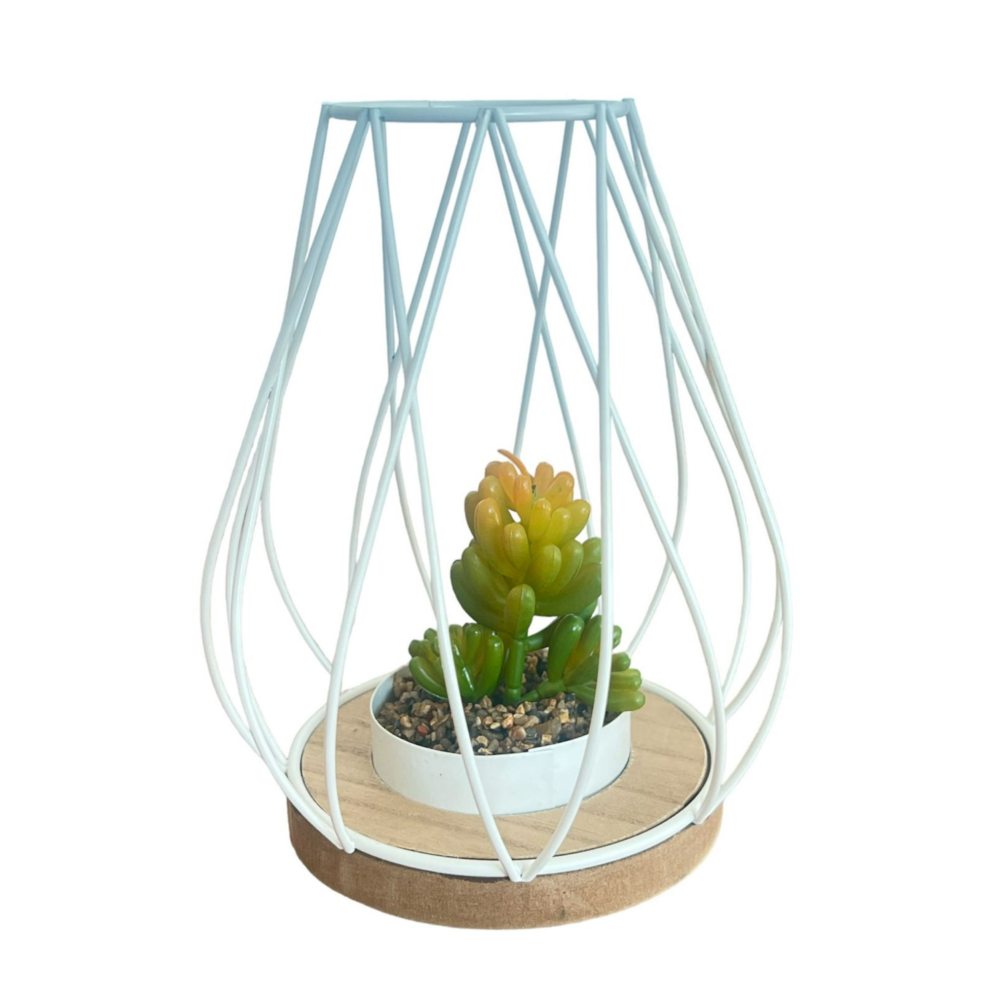 Oem - Adorno Decorativo Jaula Con Planta Decoracion Suculenta