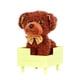 thumbnail image 2 of Mascota Perro Grizzly, 2 of 2