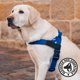 thumbnail image 5 of Arnés para perro Dog Friendly Co XL azul clásico, 5 of 8