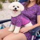 thumbnail image 5 of Playera para perro Pet Life Active Warf-Speed ultraelástica, 5 of 9