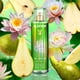 thumbnail image 2 of Fragancia en bruma Playboy Eyes ON ME 250 ml para mujer, 2 of 2