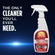 thumbnail image 2 of Limpiador 303 Multi-Surface Cleaner, 2 of 3