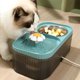 thumbnail image 5 of Fuente Bebedero Y Plato Mascotas 3 Lts, 5 of 7