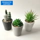 thumbnail image 1 of Planta Artificial Suculenta 6 cm Producto Surtido, 1 of 3