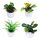 thumbnail image 4 of 4x Mini Casa De Muñecas Plantas En Macetas De Plástico Jardín De Hadas Para Decoración De Casa De Muñecas, 4 of 5