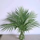 thumbnail image 4 of hojas artificiales de palmera areca, hojas de palmera tropical, hojas de monstera artificiales para arreglos florales de Domingo de Ramos, luau hawaiano, playa, boda, fiesta., 4 of 6