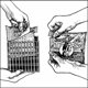 thumbnail image 5 of Beed Bars Wildlife Sciences Songbird Treats, paquete de 12, 240 ml, 5 of 5