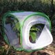 thumbnail image 3 of Terrario en jaula para hábitat de insectos y mariposas RESTCLOUD, 3 of 6
