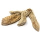 thumbnail image 3 of Raíz de lirio entera Naturegrail 50 g Iris germanica, 3 of 5