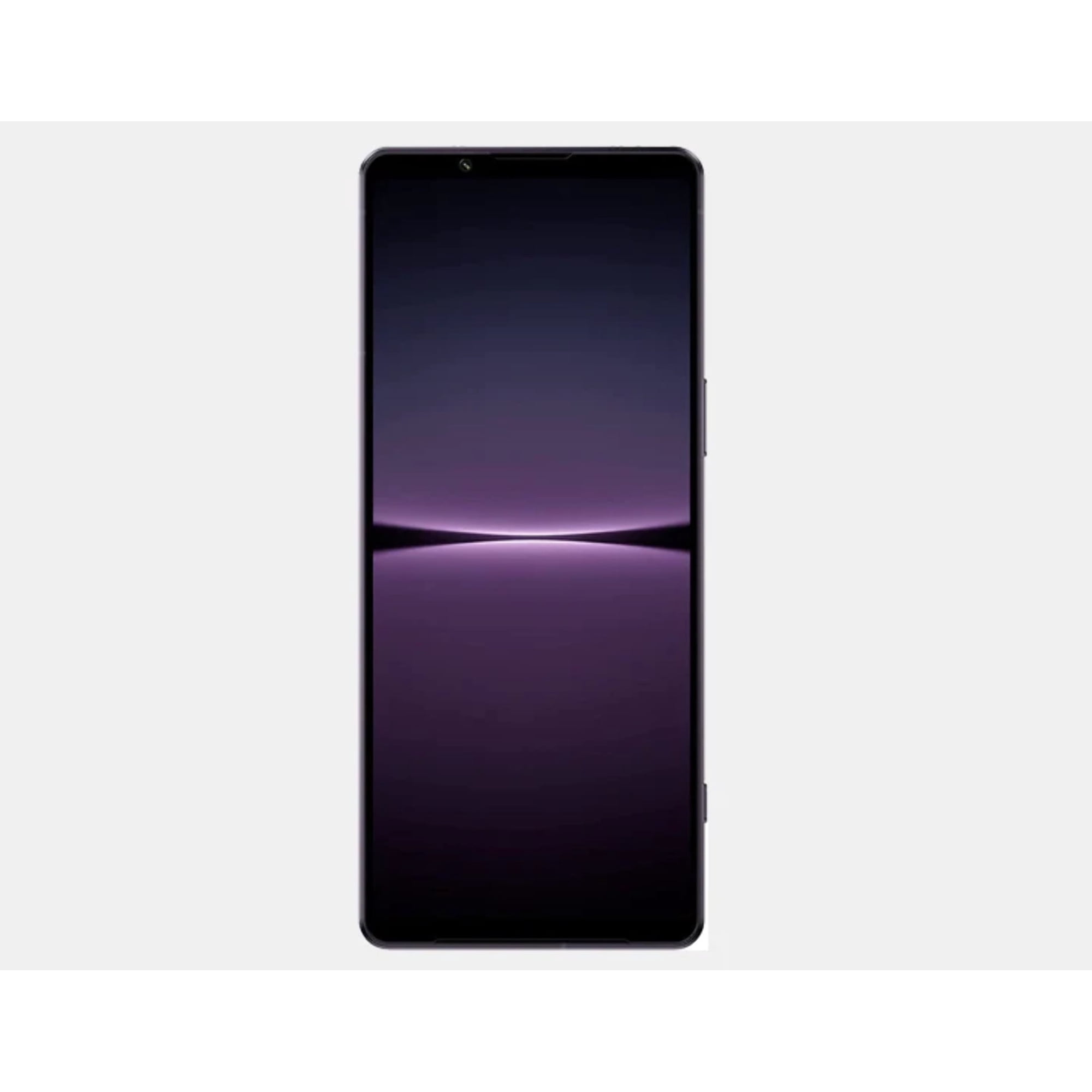 Sony Xperia 1 Iv Xq-ct72 5g Dual 512gb 12gb Ram Dual Sim Gsm Púrpura