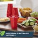 thumbnail image 5 of Vasos de fiesta compostables Hefty EcoSave, rojos, 540 ml, 16 unidades x 3, 5 of 6