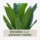 thumbnail image 5 of Planta Artificial Dracaena Hojas Largas 90 cm, 5 of 9
