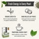 thumbnail image 3 of Green Tea Numi Organic Gunpowder, 54 bolsas, sin microplásticos, 3 of 7
