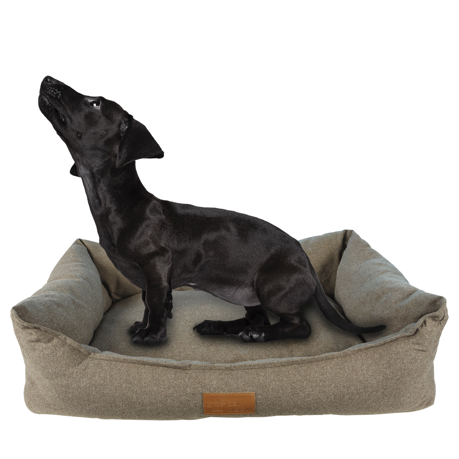 Petwoow - Cama Mascota Luna 80X55X23 Cm M