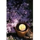 thumbnail image 4 of Calculadora De Luz Solar 1875 Rapitest Suncalc Para Jardín, 4 of 4