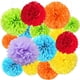 thumbnail image 1 of 18 pompones de papel de seda, bolas de flores de papel arcoíris para decoración de fiestas, bodas, cumpleaños, despedidas de soltera, baby shower, fiestas de Navidad y decoración al aire libre (8, 10,, 1 of 7