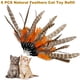 thumbnail image 2 of Recambios para juguetes con plumas de gato TIENAILING Da Bird, 6 piezas, 2 of 4