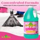 thumbnail image 3 of Champú para Alfombras Mr Humpty 1,9 L Concentrado – Suministro de 1 año, 3 of 6
