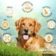 thumbnail image 2 of Alimento para perro adulto 16Kg, 2 of 6