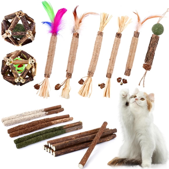 Juguetes de masticar para gatos WOUSEDO – Pack de 24 palitos de silvervine