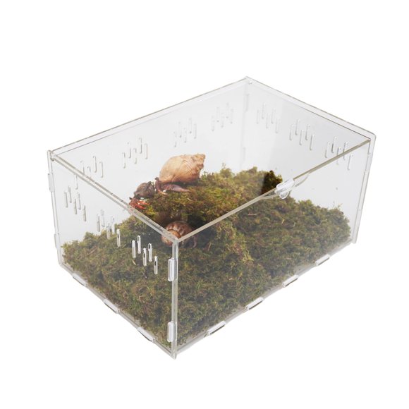 VIVARIUM Jinymral 30x20x15 cm con Juguete de Escalada y Sustrato