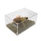 thumbnail image 1 of VIVARIUM Jinymral 30x20x15 cm con Juguete de Escalada y Sustrato, 1 of 6