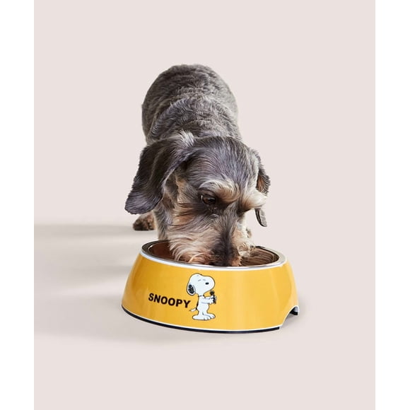 Plato Mascotas Snoopy Pets D-07 Acero Inoxidable