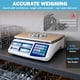 thumbnail image 2 of Balanza Contadora SASVY 30kg 0.1g Digital Industrial LCD, 2 of 3
