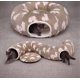 thumbnail image 1 of Cama Túnel para Gatos Pesen con Cojín Suave, Ideal para Gatos y Gatitos de Interior, 1 of 7