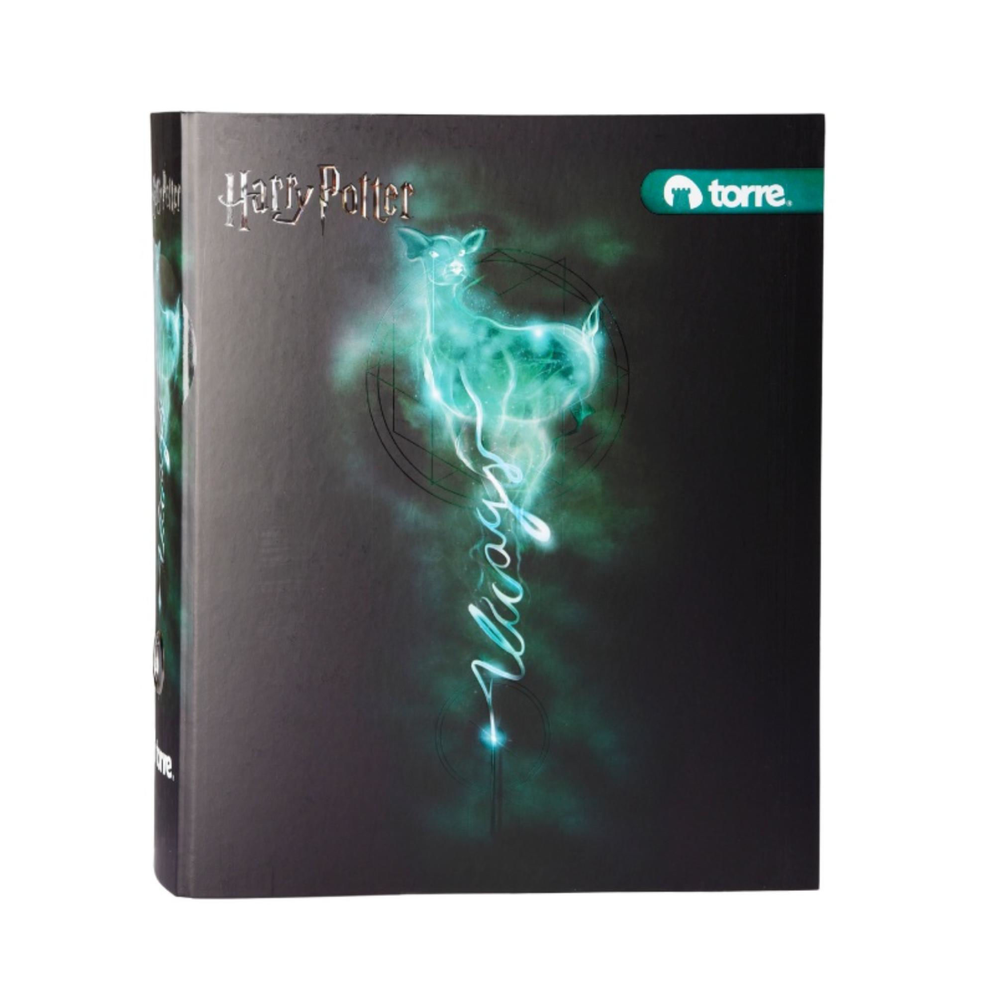 Archivador Harry Potter / Producto Surtido Torre