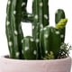 thumbnail image 3 of Cactus Artificial 26Cm, 3 of 4