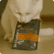 thumbnail image 3 of Alimento húmedo para gatos BS Pato y ganso con aloe vera, 3 of 3