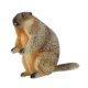 thumbnail image 5 of Martillas De Las Marmotas Figura Decorativa Mini Marmots Escultura Para Ni?os Ni?os Ni?os De Pie, 5 of 5