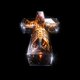 thumbnail image 2 of Álbum Hyperdrama de Because Music, 2 of 2